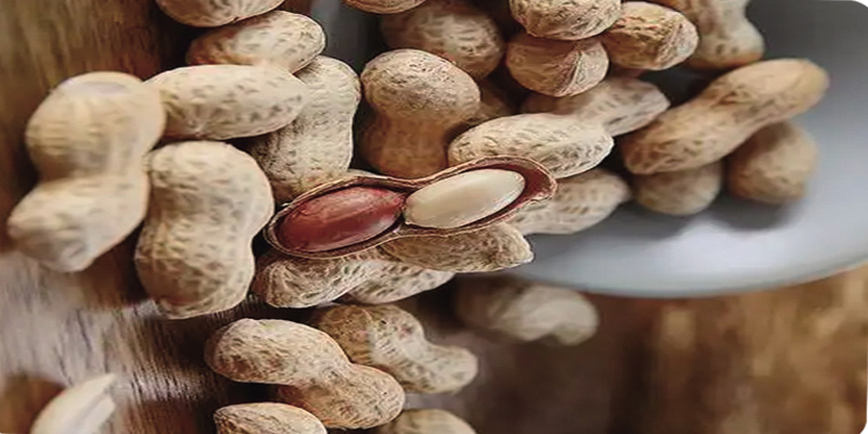Peanuts in shell